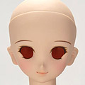 Volks DDH-06 Y /  2011 Volks News Vol. 45 xWwD٩x